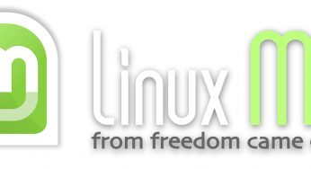 Linux Mint で一時的にProxyを通したapt-get updateをする方法